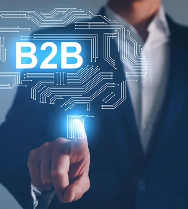 B2B (1)